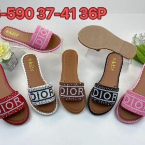 Dior slides