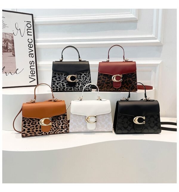 IMG_8438.jpeg Alice coach bag