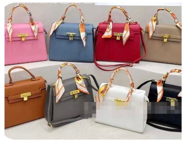 Levy lock bag