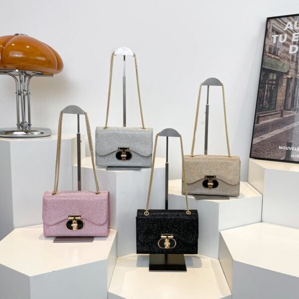 IMG_3816 Amina shiny bag