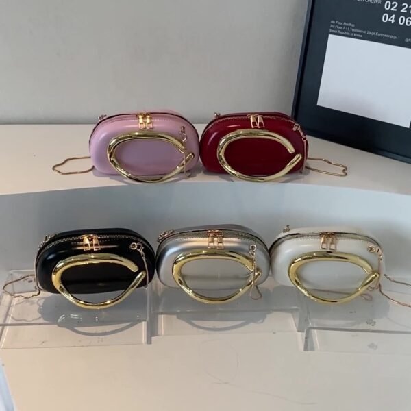 IMG_4279 Saida clutch