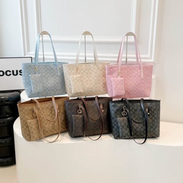 IMG_8477 Coach tote 2in1