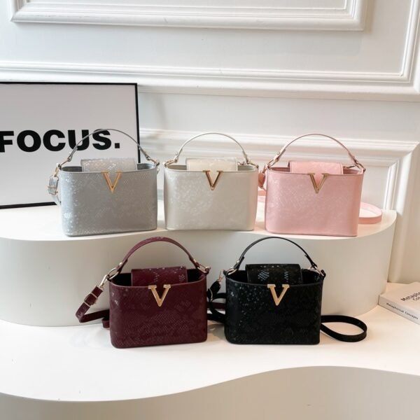 IMG_1412 Kashy bag