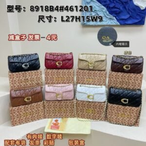Coach bag(boxed)