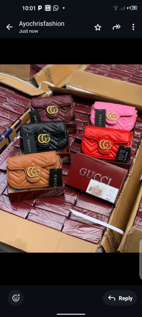 GG Gucci bag