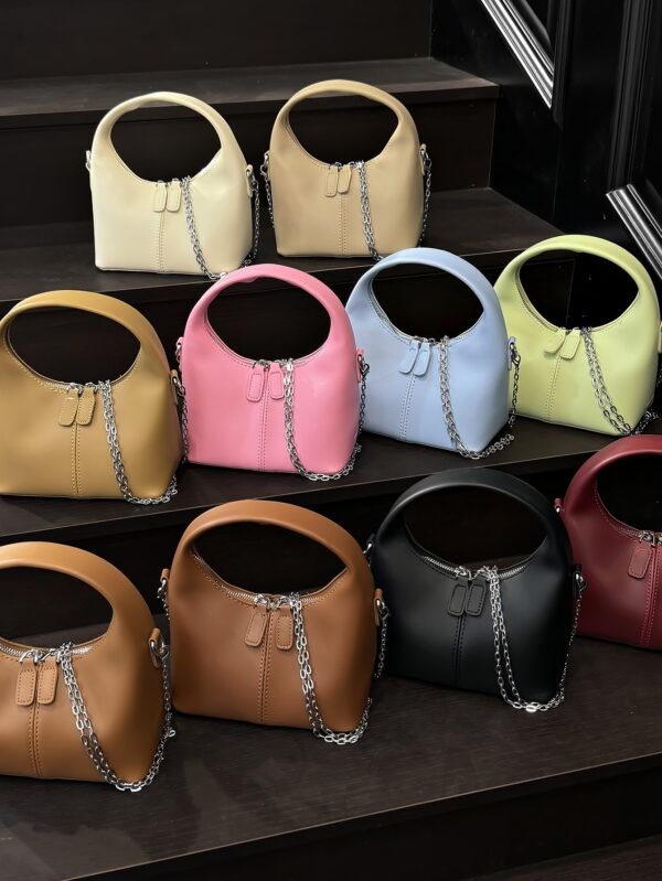 IMG_9145 Zoya bag